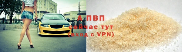 стаф Арсеньев