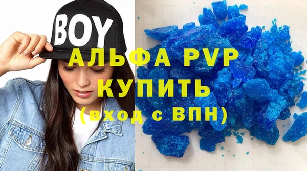 стаф Арсеньев