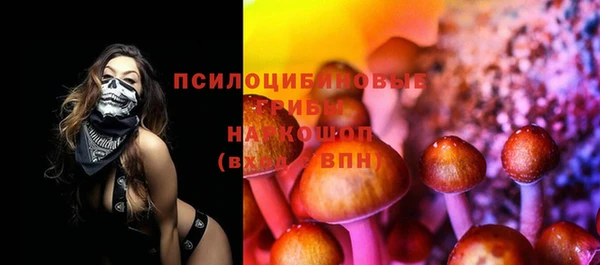 гидра Инта