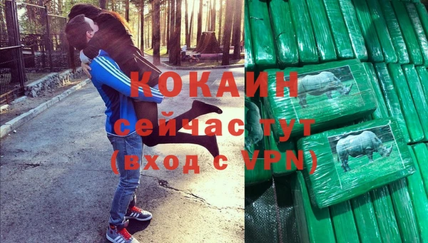 гашик Аркадак