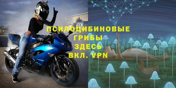 стаф Арсеньев