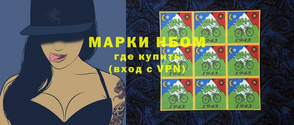 стаф Арсеньев