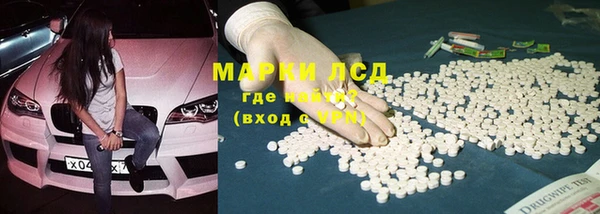гашик Аркадак