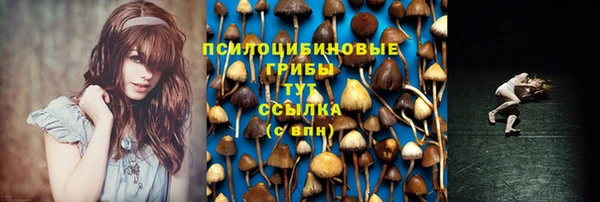 ГАЛЛЮЦИНОГЕННЫЕ ГРИБЫ Армянск