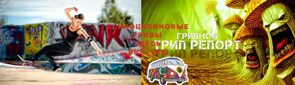 гашик Аркадак