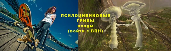 ГАЛЛЮЦИНОГЕННЫЕ ГРИБЫ Армянск