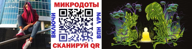 что такое наркотик  Рошаль  omg вход  Галлюциногенные грибы Psilocybe 